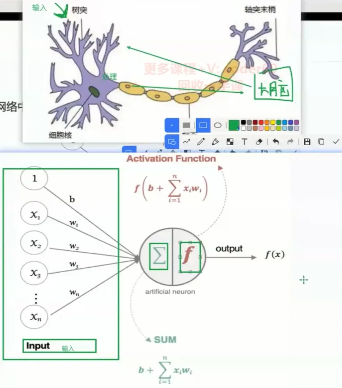 神经末梢